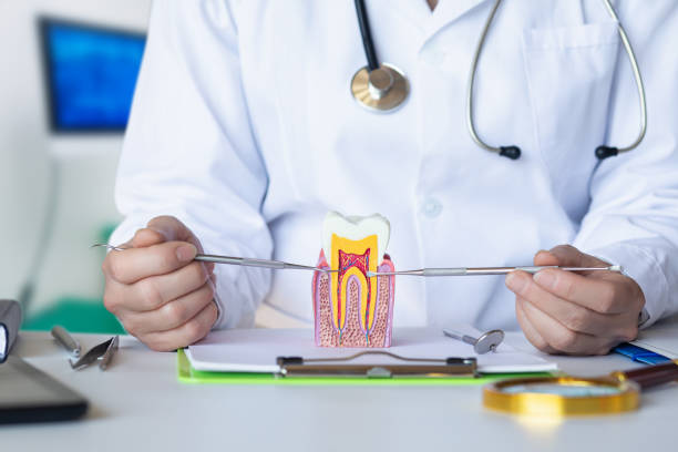 Best Emergency Root Canal Treatment in Han, GA